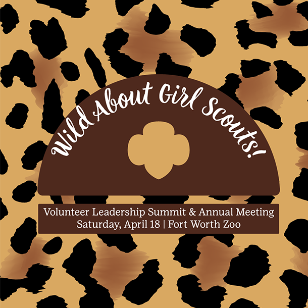 Volunteer Leadership Summit